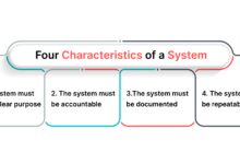 system justification