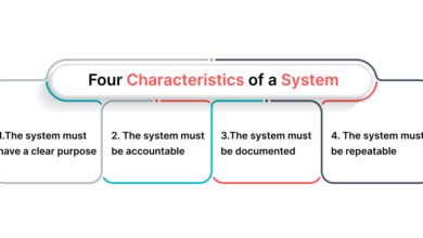 system justification